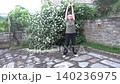 A woman performs a full-body exercise outdoors, against the backdrop of a large jasmine bush. Blonde doing squats and raising her arms in her backyard 140236975