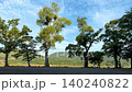 山中湖周辺の初夏の新緑と雄大な自然が広がる爽やかな絶景風景 140240822