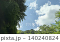 新緑に包まれた山道を走る初夏のドライブと流れる森の映像素材 140240824