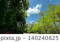 初夏の山峠道を爽やかにドライブしながら過ぎ去る木々を眺める車窓風景 140240825