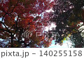 秋葉和藍天 140255158