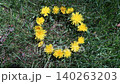 Woman hand creating a smiley face shape with yellow dandelion flower on green grass 140263203