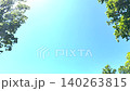 A video of a lush green forest and blue sky with copy space. 140263815
