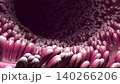 Microscopic camera glide through intestinal villi and textured folds 140266206
