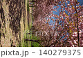 Static view of cherry blossom trees in spring park 140279375