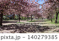 Woman walking into cherry blossom alley in spring park 140279385