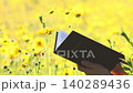 Christian reading the Bible in a beautiful flower garden, against a background of beautiful yellow wildflowers swaying in the wind. 140289436