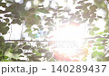 Shining sunlight shining through trees and leaves swaying in a gentle breeze, relaxing rest and beautiful nature loop video, bird sound ASMR 140289437