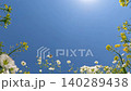 Butterflies and bees flying among pretty flowers, a clear blue sky, and a beautiful nature background 140289438