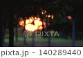 The red sun visible through the fir forest and a peaceful, beautiful sunset landscape, looping video 140289440
