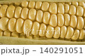 Close-up of fresh corn ear with glossy kernels and green husk 140291051