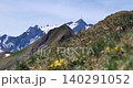 Alpine mountain ridge with snowy peaks 140291052