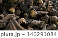 Close-up of dried clove buds in warm directional light 140291084