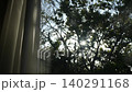 Evening sunlight filters through the gaps in the curtains and trees by the window. 140291168