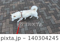 一隻狗的散步 一隻狗的散步 140304245