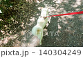 一隻狗的散步 一隻狗的散步 140304249