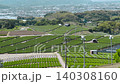 福岡県八女市八女中央大茶園展望所からみた茶畑 140308160