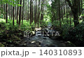 Cinematic drone flight moving slowly across a forest stream surrounded by Japanese cedar trees and moss-covered rocks in Odawara, Kanagawa, Japan. 140310893