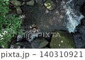 Top-down drone flight above a forest stream flowing between moss-covered boulders in Odawara, Kanagawa, Japan. 140310921