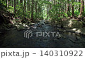 Cinematic drone flight above a forest stream with an upward reveal of a Japanese cedar forest in Odawara, Kanagawa, Japan. 140310922