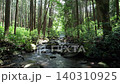 Smooth drone flight following a clear forest stream through a Japanese cedar forest in Odawara, Kanagawa, Japan. 140310925