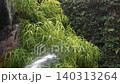 Watering plants with a garden hose nozzle first person point of view. Summer concept. 140313264