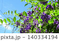 花壇樹上的花：春至秋季樹上的花：朱蘭圖上的花：花園樹木 140334194