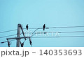兩隻烏鴉棲息在遠處的電線上。 140353693