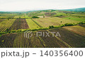 Aerial flight over a beautiful green vineyard 140356400