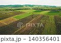 Aerial shot of green agricultural vineyard landscape 140356401