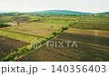 Aerial view of vineyard fields in rural landscape 140356403