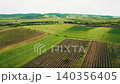 Aerial view flying over lush green vineyard fields 140356405