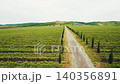 Aerial drone flying backwards over vineyard road 140356891