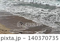 Small Dog Running and Playing in Ocean Waves on Sandy Beach Aerial View 140370735