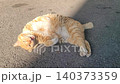 Cute Ginger Stray Cat Lying on the Street, Yawning and Relaxing Peacefully 140373359