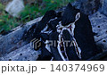 BBQ Charcoal Embers and Flying Sparks in Slow Motion. 140374969