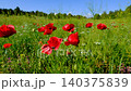 Natural Spring Landscape with Blooming Poppy Flowers.  140375839