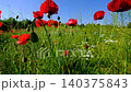 Natural Spring Landscape with Blooming Poppy Flowers.  140375843