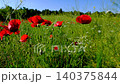 Natural Spring Landscape with Blooming Poppy Flowers.  140375844