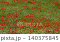 Natural Spring Landscape with Blooming Poppy Flowers.  140375845