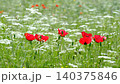 Natural Spring Landscape with Blooming Poppy Flowers.  140375846