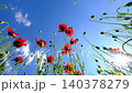 Red Wildflowers and Green Plants Reaching Toward the Sky.  140378279
