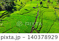 Beautiful morning view in Indonesia, panoramic landscape of rice fields with mountain ranges and clear sky 140378929