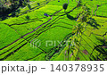 Beautiful morning view in Indonesia, panoramic landscape of rice fields with mountain ranges and clear sky 140378935