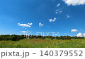 Timelapse of Red Wildflowers Under Moving Clouds. 140379552