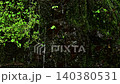 Iwashimizu (Azumino) Iwashimizu (Azumino) 140380531