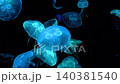 Underwater close-up of a luminous jellyfish with flowing movement. 140381540