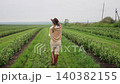 Woman walking through green agricultural field wearing a hat 140382155