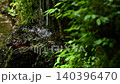 [Water of Longevity] A refreshing view [Azumino City] 140396470