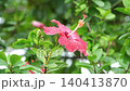 A floral landscape that evokes the changing seasons. 140413870